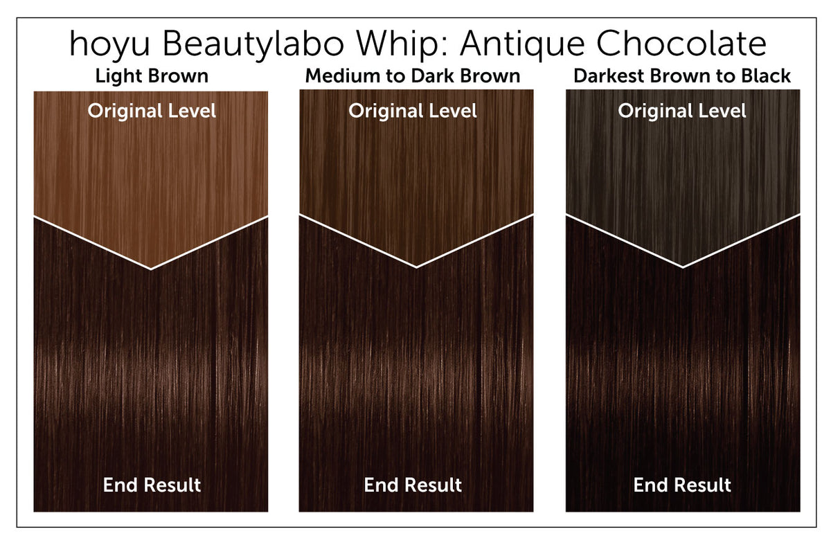 Hoyu Beautylabo Whip - Bigen USA