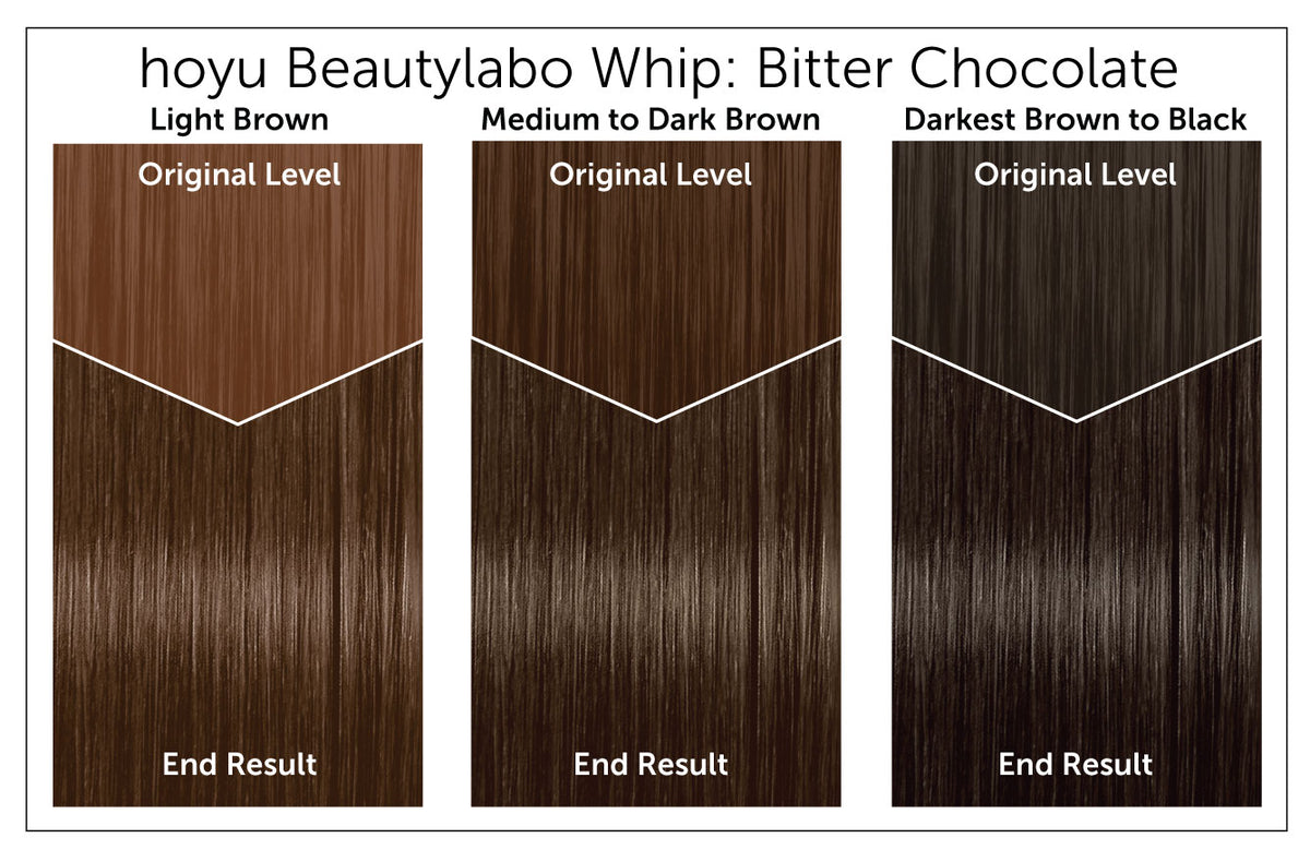 Hoyu Beautylabo Whip - Bigen USA
