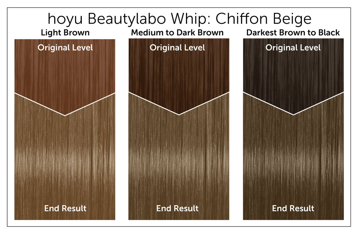 Hoyu Beautylabo Whip - Bigen USA