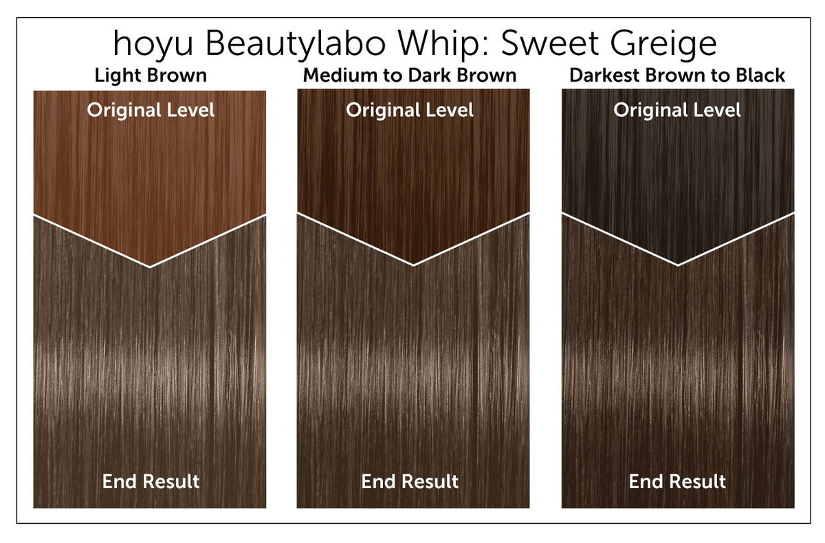 Hoyu Beautylabo Whip - Bigen USA