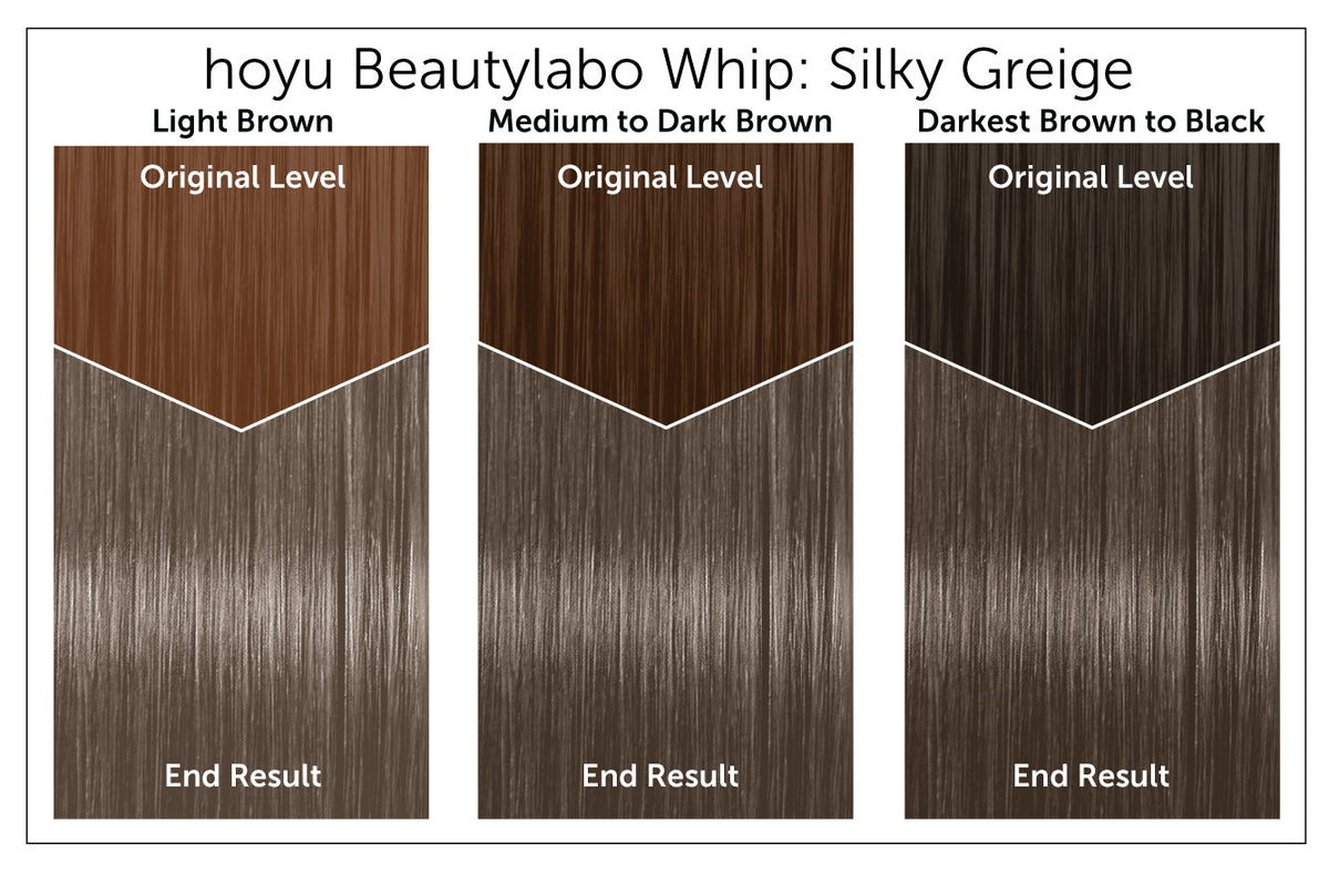 Hoyu Beautylabo Whip - Bigen USA