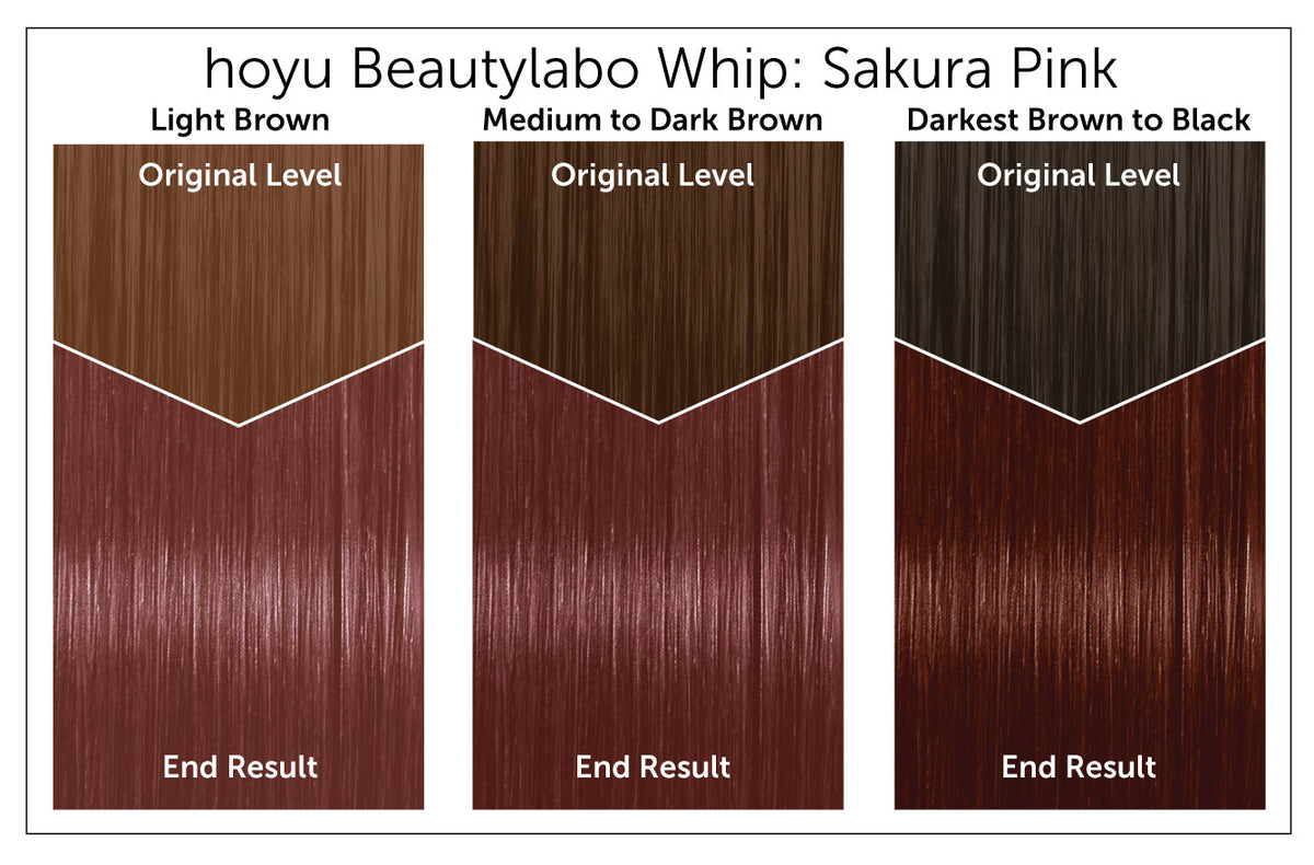 Hoyu Beautylabo Whip - Bigen USA