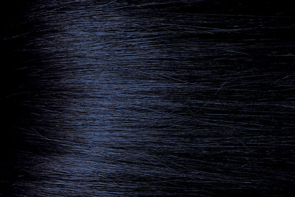 BB1 Blue Black