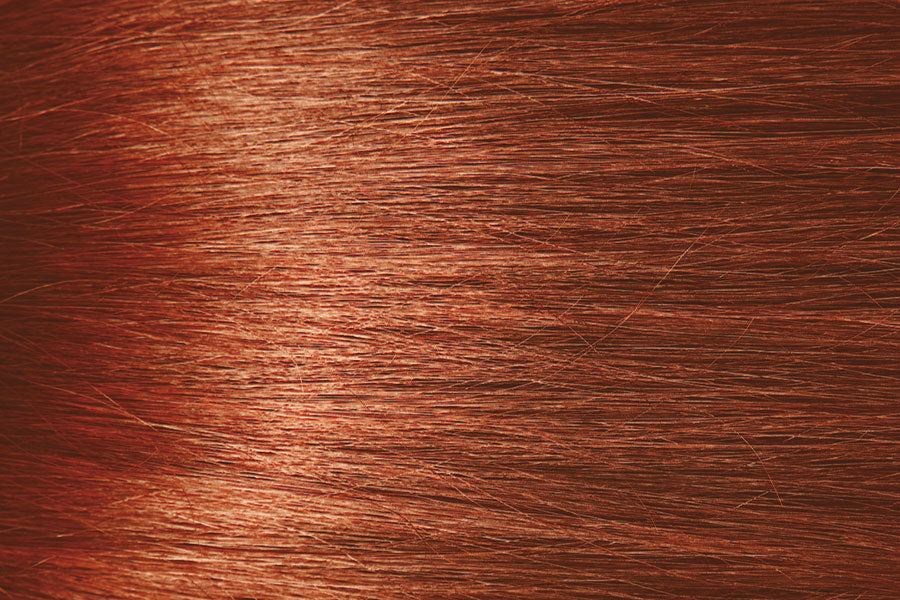 G5 Ginger