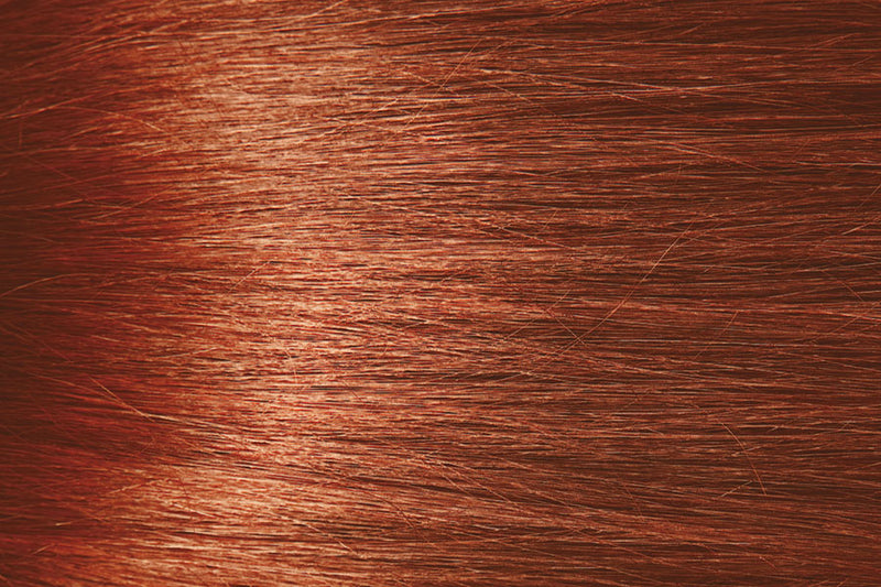 G5 Ginger