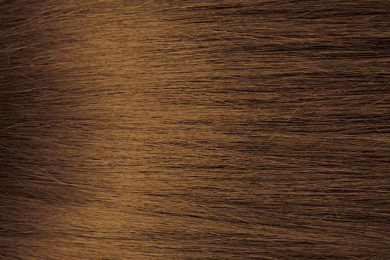 HB4 Honey Brown