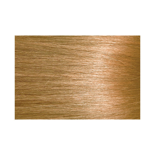 6HB Honey Blonde